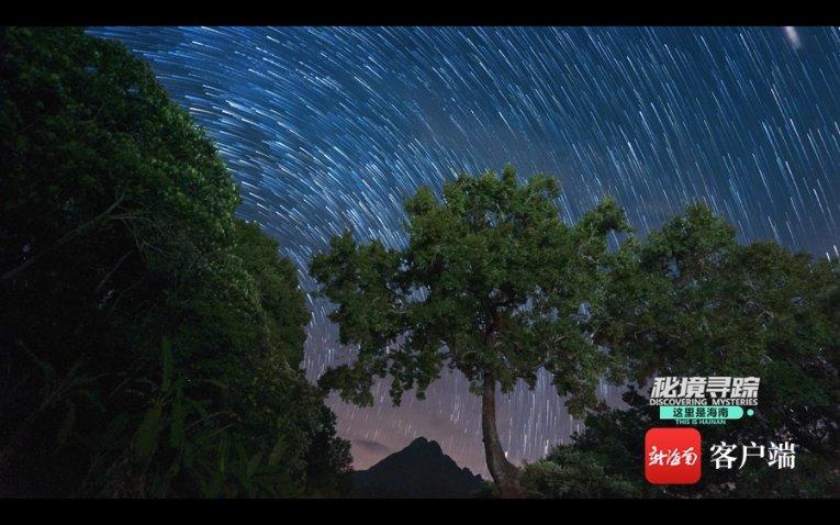 逃离香蕉农田